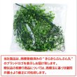画像6: フェイクグリーン 造花 観葉植物 約80cm 【グリーン】 緑 インテリア 雑貨 人工 水やり不要 ハンギング 吊り下げ・壁掛けにも きらきらぷんぷん丸 GRDN-012 (6)