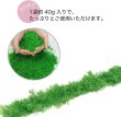 画像3: ジオラマスポンジターフ 約40g入り 【ライトグリーン】 緑 芝生 草 木 苔 自然 パウダー テラリウム ミニチュア フェイクモス きらきらぷんぷん丸 GRDN-013 (3)