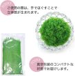 画像4: ジオラマスポンジターフ 約40g入り 【ライトグリーン】 緑 芝生 草 木 苔 自然 パウダー テラリウム ミニチュア フェイクモス きらきらぷんぷん丸 GRDN-013 (4)