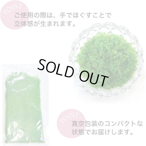 画像4: ジオラマスポンジターフ 約40g入り 【ライトグリーン】 緑 芝生 草 木 苔 自然 パウダー テラリウム ミニチュア フェイクモス きらきらぷんぷん丸 GRDN-013 (4)