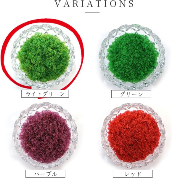 画像6: ジオラマスポンジターフ 約40g入り 【ライトグリーン】 緑 芝生 草 木 苔 自然 パウダー テラリウム ミニチュア フェイクモス きらきらぷんぷん丸 GRDN-013 (6)