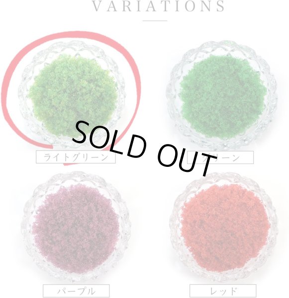 画像6: ジオラマスポンジターフ 約40g入り 【ライトグリーン】 緑 芝生 草 木 苔 自然 パウダー テラリウム ミニチュア フェイクモス きらきらぷんぷん丸 GRDN-013 (6)