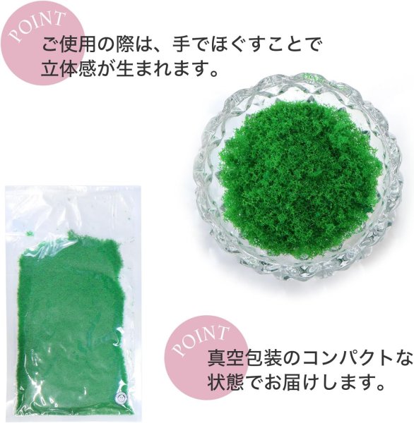 画像4: ジオラマスポンジターフ 約40g入り 【グリーン】 緑 芝生 草 木 苔 自然 パウダー テラリウム ミニチュア フェイクモス 鉄道模型 きらきらぷんぷん丸 GRDN-014 (4)