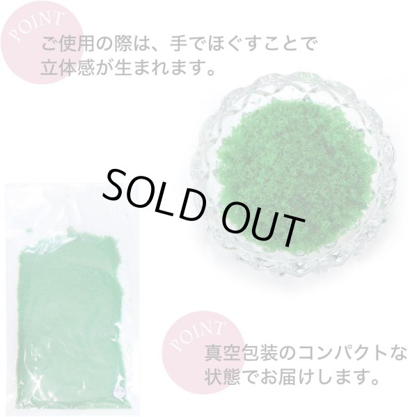 画像4: ジオラマスポンジターフ 約40g入り 【グリーン】 緑 芝生 草 木 苔 自然 パウダー テラリウム ミニチュア フェイクモス 鉄道模型 きらきらぷんぷん丸 GRDN-014 (4)