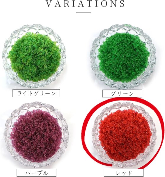 画像6: ジオラマスポンジターフ 約40g入り 【レッド】 赤 花 秋 紅葉 自然 パウダー テラリウム ミニチュア フェイクモス 鉄道模型 きらきらぷんぷん丸 GRDN-016 (6)