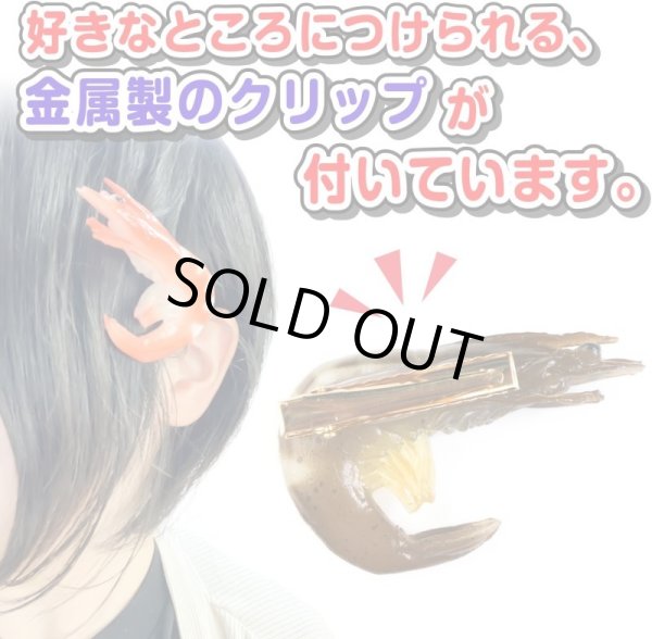 画像3: 食品サンプル クリップ 【えびぞり 黒】ヘアアクセ 髪留め シーフード プレゼント お土産 ネクタイ タイピン フェイクフード きらきらぷんぷん丸 KRP-006 1個 (3)