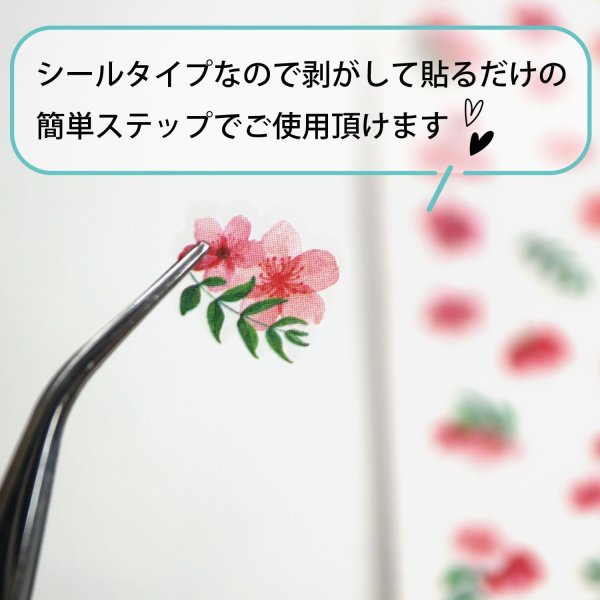 画像4: ネイルシール 花 フラワー 植物 【6シート入り】 ピンク系 春 夏 秋 冬 花びら 花柄 ボタニカル ジェルネイル ネイルステッカー きらきらぷんぷん丸 NAS-109 (4)