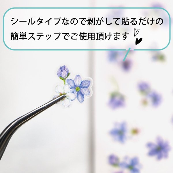 画像4: ネイルシール 花 フラワー 植物 【6シート入り】 ブルー・ホワイト系 青 白 春 夏 秋 冬 花びら 花柄 ボタニカル ジェルネイル きらきらぷんぷん丸 NAS-112 (4)