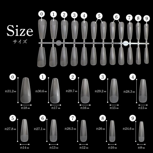 画像2: ネイルチップ ロングバレリーナ 240枚 10サイズ 付け爪 ロング 長さだし クリア 透明 セルフネイル ジェルネイル サンディング済み きらきらぷんぷん丸 NTIP-001 (2)