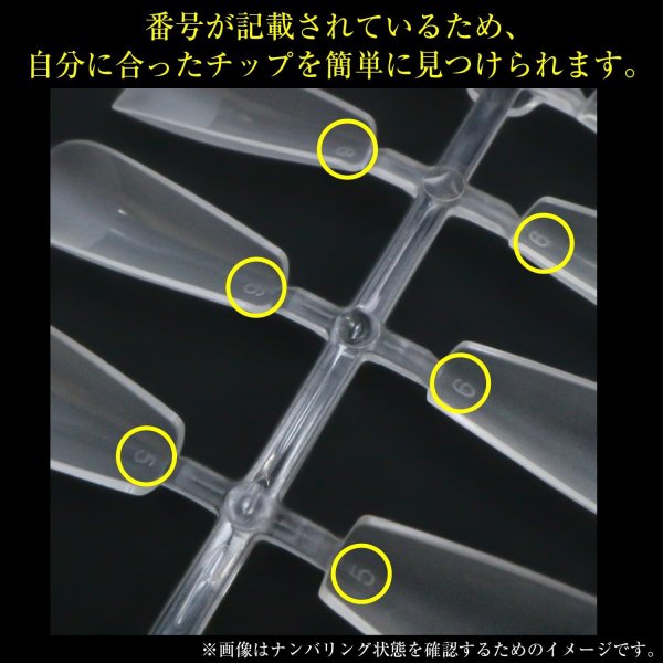 画像5: ネイルチップ ロングバレリーナ 240枚 10サイズ 付け爪 ロング 長さだし クリア 透明 セルフネイル ジェルネイル サンディング済み きらきらぷんぷん丸 NTIP-001 (5)