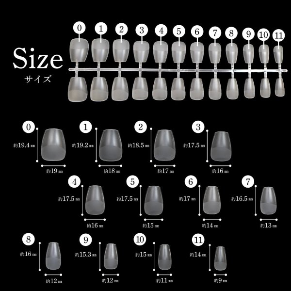 画像2: ネイルチップ ショートバレリーナ 240枚 12サイズ 付け爪 ショート 長さだし クリア 透明 セルフネイル ジェルネイル きらきらぷんぷん丸 NTIP-003 (2)