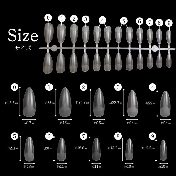 画像2: ネイルチップ スキニーオーバル 240枚 10サイズ 付け爪 ロング 長さだし クリア 透明 セルフネイル ジェルネイル サンディング済み きらきらぷんぷん丸 NTIP-005 (2)