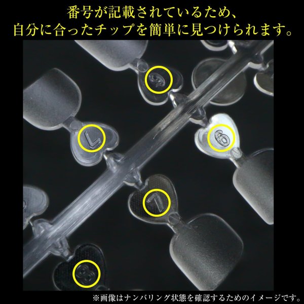 画像5: ネイルチップ フット用 240枚 12サイズ 付け爪 足 長さだし クリア 透明 セルフネイル ジェルネイル サンディング済み きらきらぷんぷん丸 NTIP-006 (5)