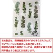 画像2: シール 花 押し花 ユーカリ クリア【1シート12枚×3シート入り】〔1セット〕コラージュ 手帳 フラワー ボタニカルシール ドライフラワー ステッカー デコレーション きらきらぷんぷん丸 PFS-002 (2)