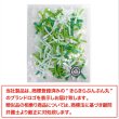 画像6: ミニサテンリボンパーツ 【グリーンセット】 約95個入り 3x2cm 緑 蝶結び 手芸 ハンドメイド パーツ デコレーション きらきらぷんぷん丸 RBN-033 (6)