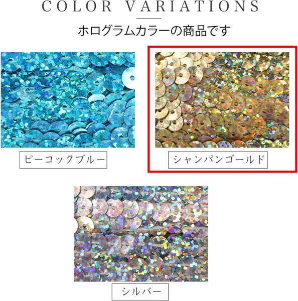 画像6: スパンコールブレード ホログラム シャンパンゴールド 金 幅約0.6cmx約3m スパンコールテープ スパンコールトリム 手芸 きらきらぷんぷん丸 SRBN-004 (6)