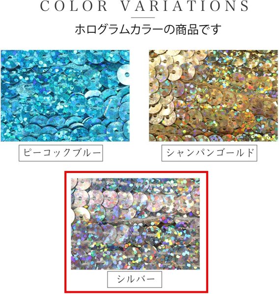 画像6: スパンコールブレード ホログラム シルバー 銀 幅約0.6cmx約3m スパンコールテープ スパンコールトリム 手芸 きらきらぷんぷん丸 SRBN-005 (6)