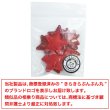 画像7: ワッペン【レッド】赤 10個入 28mm グリッター 星 アップリケ 接着タイプ パッチ デコレーション きらきらぷんぷん丸 WPN-005 (7)